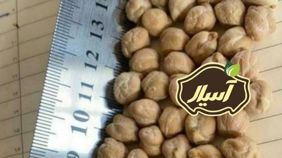 مرکز فروش نخود کرمانشاهی صادراتی درجه یک