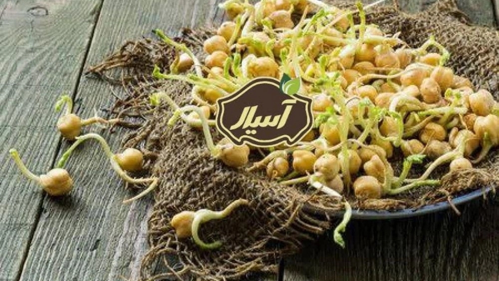 بذر نخود آنا_خرید و فروش از بازرگانی آسیال