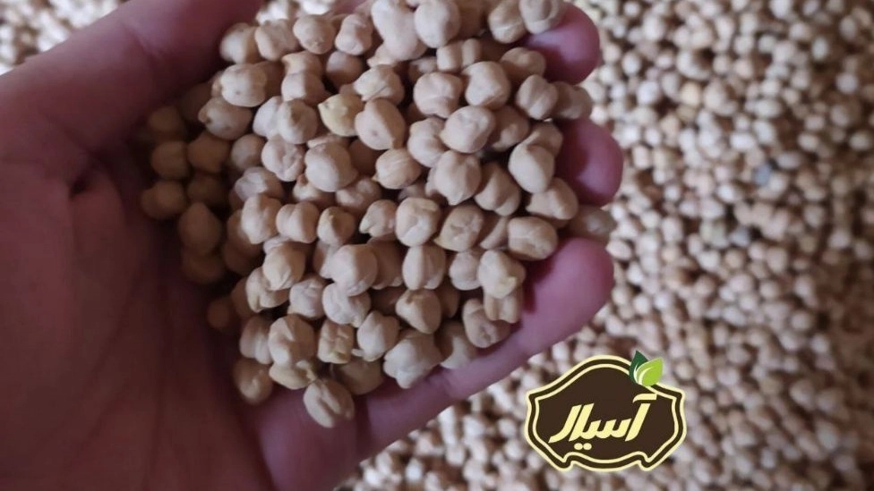 Wholesale sale and export of Se Khan Mumtaz chickpeas