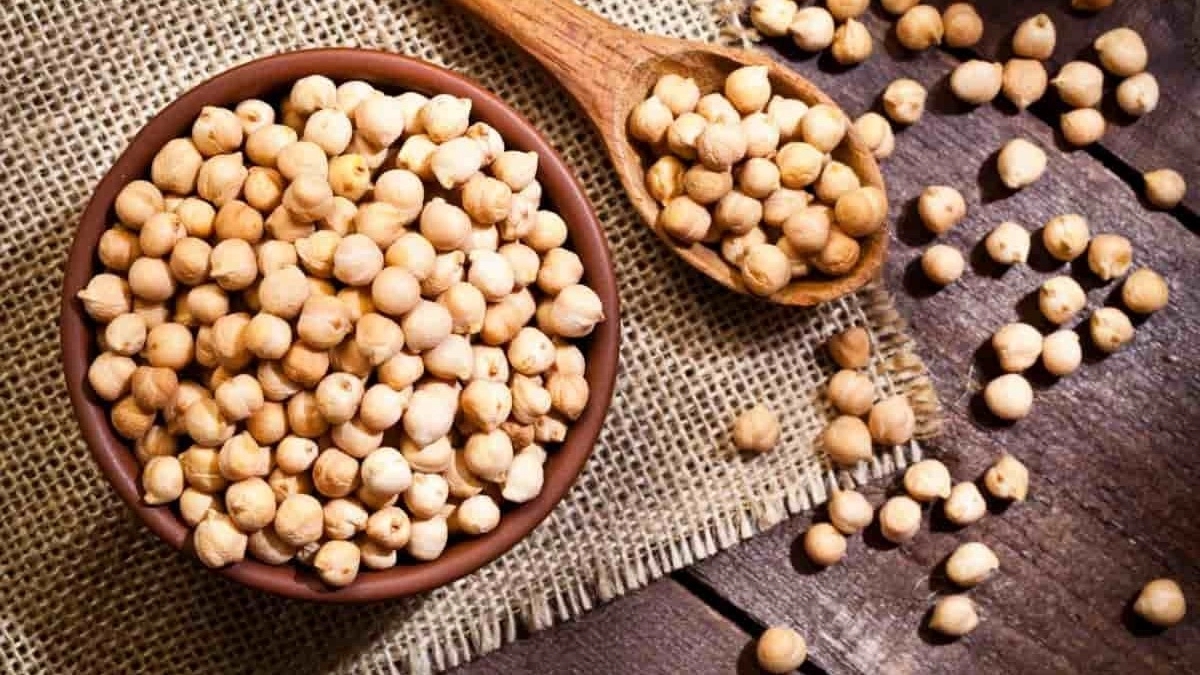 Dokhan Kermanshah Chickpea Distribution Company + great price