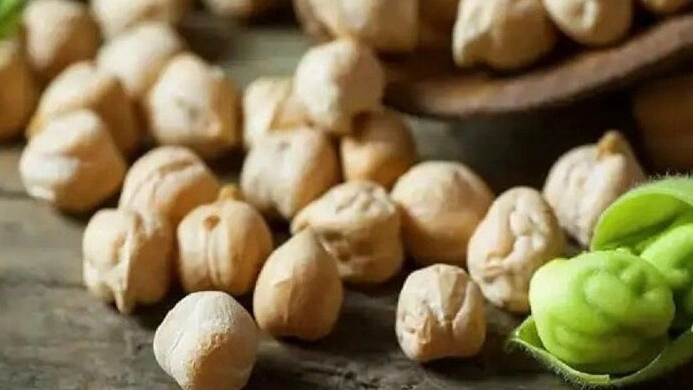 قیمت و فروش بذر نخود پاییزه