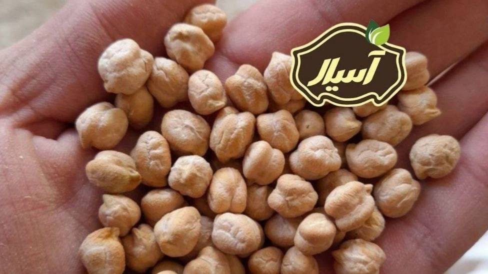 قیمت فروش نخود سفید درشت