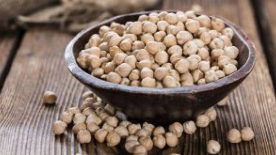 قیمت خرید بذر نخود پایه بلند دیم