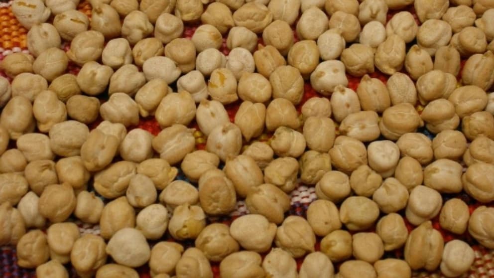 انواع نخود در بازار