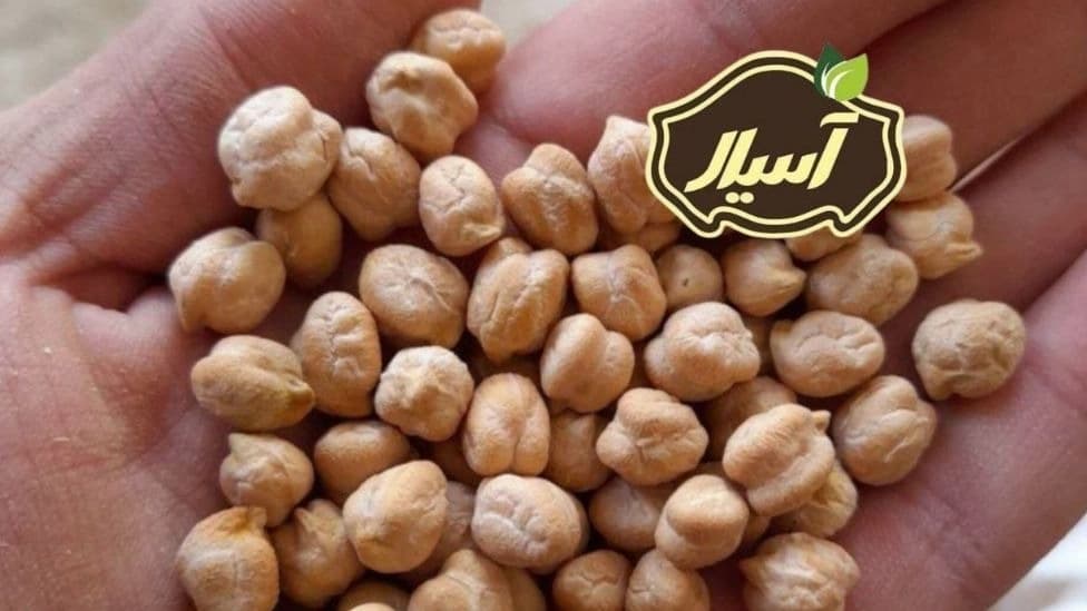 قیمت فروش نخود سفید درشت