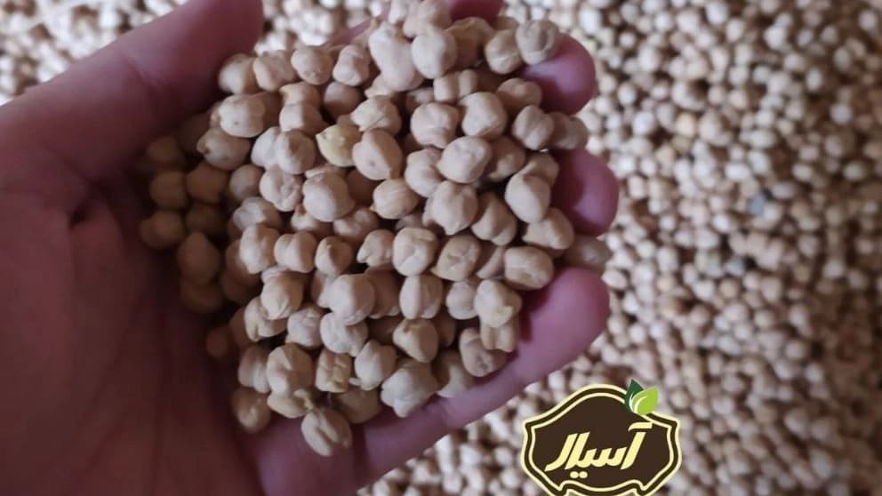 مرکز فروش نخود کرمانشاهی صادراتی درجه یک