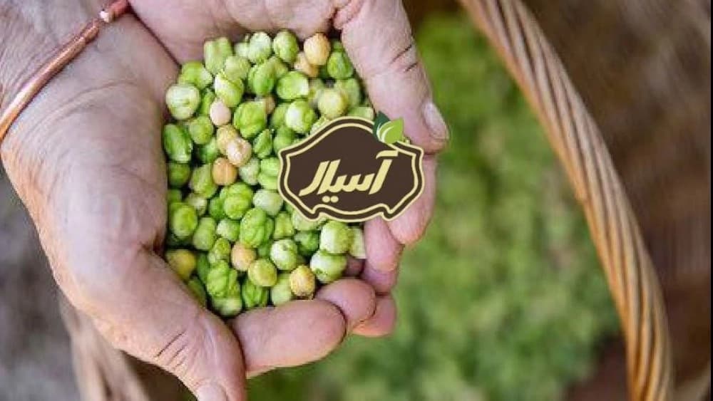 خرید نخود دیم بهاره با قیمت روز