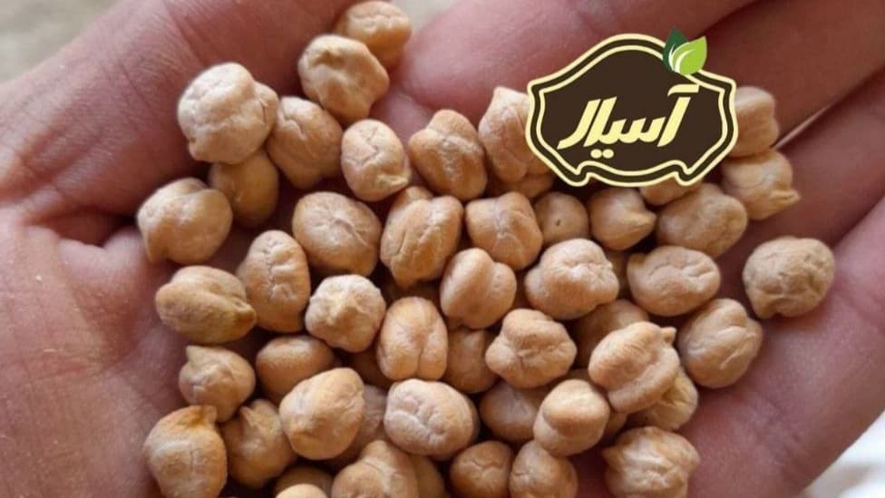 فروش عمده و صادرات نخود و حبوبات بازرگانی آسیال