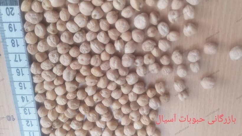 قیمت نخود فلافلی کرمانشاه +فروش کلی و جزئی
