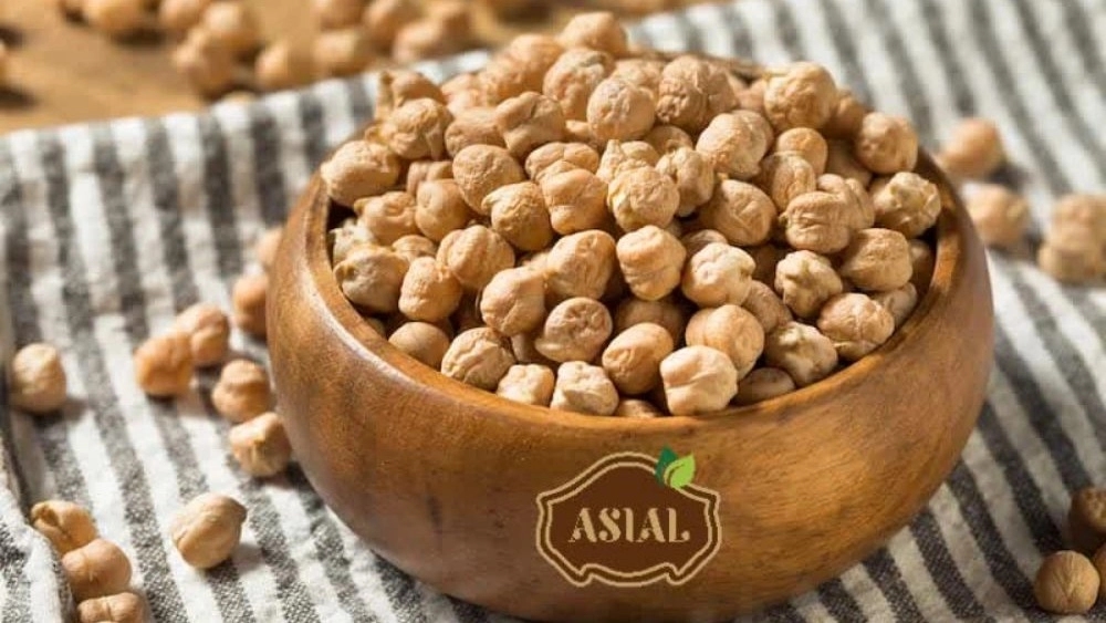 مركز متخصص للحمص الجاف في إيران مشتريات الجملة والتجزئة، دليل شامل للزراعة والأسعار اليومية مركز متخصص للحمص الجاف في إيران مشتريات الجملة والتجزئة، دليل شامل للزراعة والأسعار اليومية