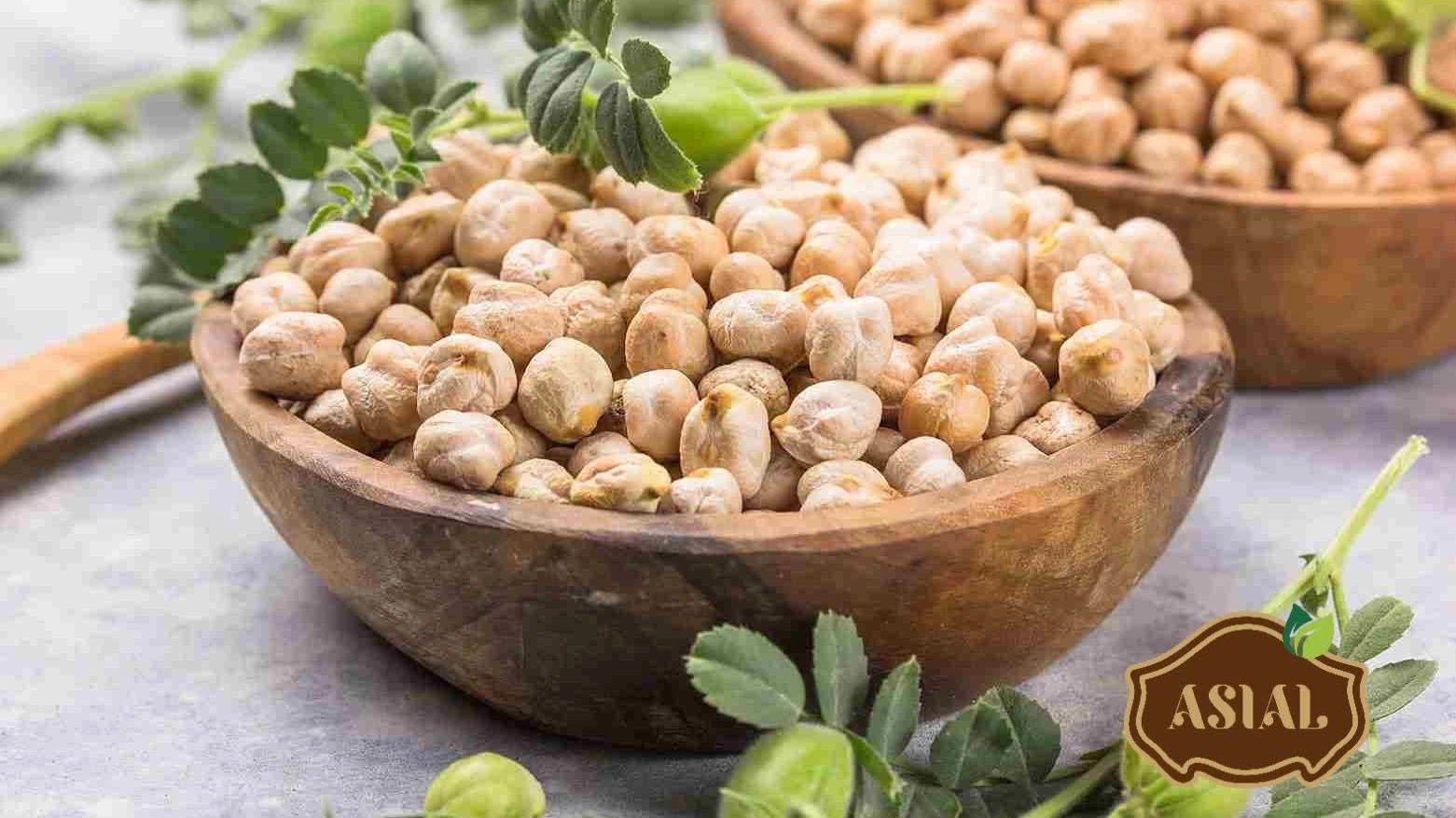 خرید بذر نخود مرغوب زراعی و اصلاحشده | قیمت روز و ارسال سراسر کشور خرید بذر نخود مرغوب زراعی و اصلاحشده | قیمت روز و ارسال سراسر کشور