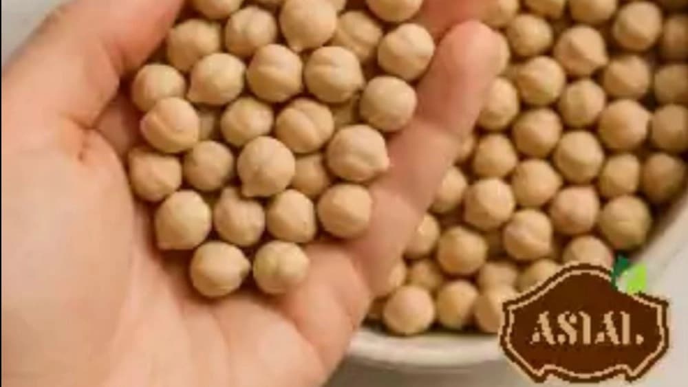 خرید نخود فلافل