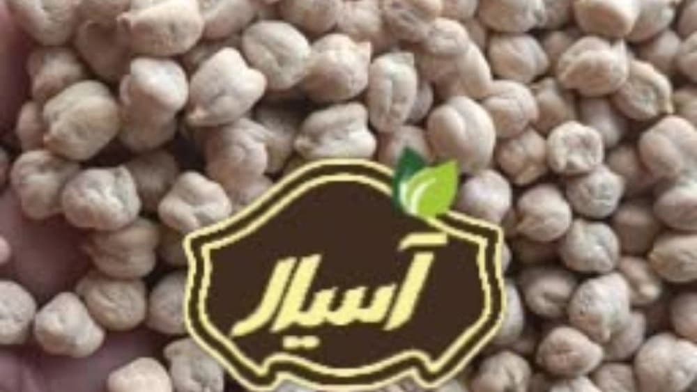 بهترین رقم نخود بهاره